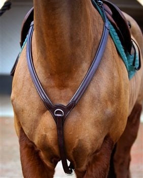 Nunn Fer Upperville Breastplate Cob Black/Brass