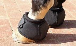 Nunn Finer American Style Bell Boots Large Brn
