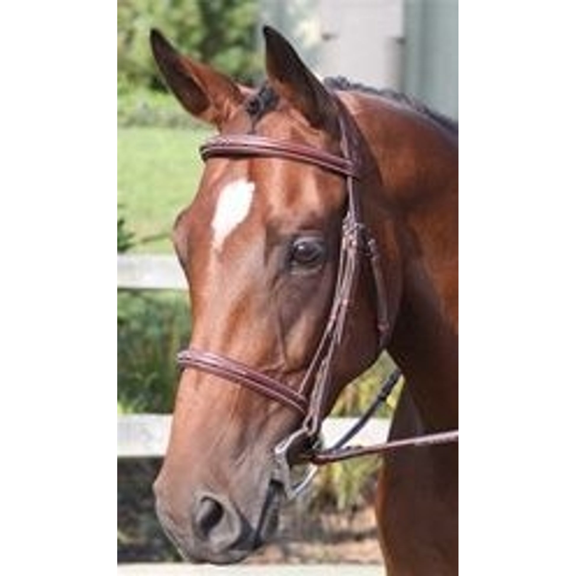 Nunn Finer Ravenna Bridle Cob