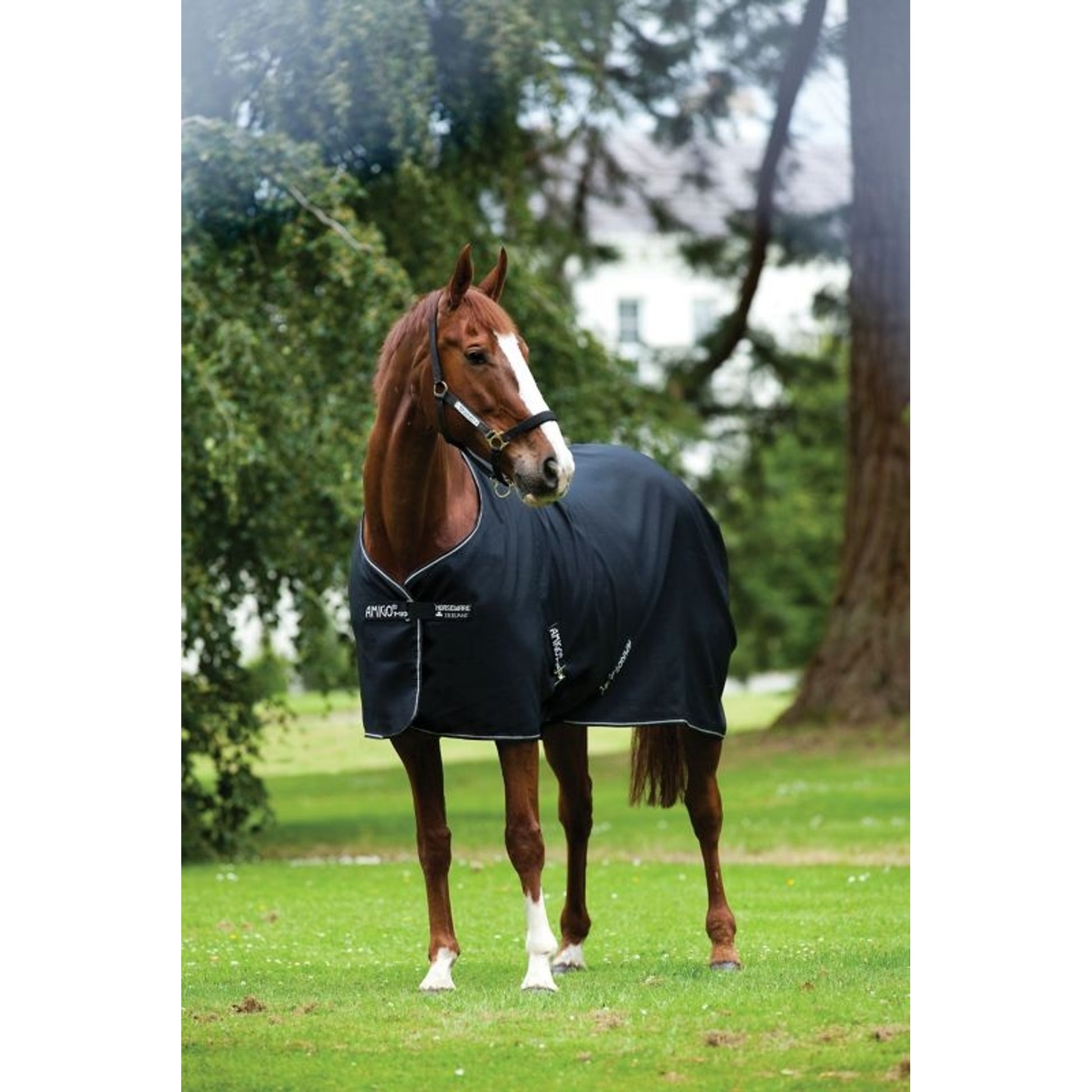 Amigo Mio Fleece Cooler