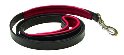 Perris Padded Leather Dog Leash