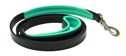 Perris Padded Leather Dog Leash