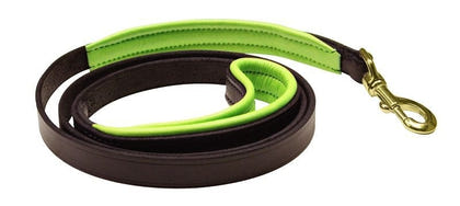 Perris Padded Leather Dog Leash