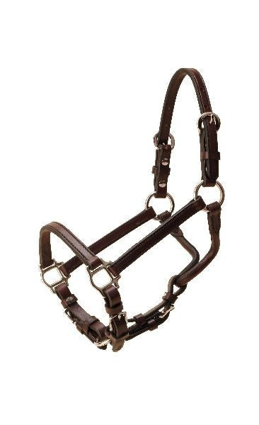 Show Halter - Nickel Hardware/Chain Lead Weanl Blk
