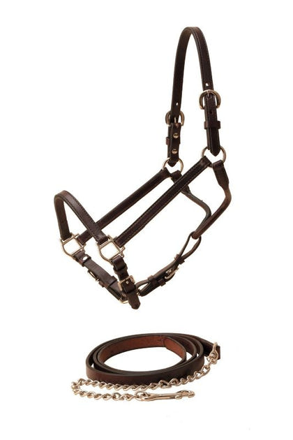 Tory Show Halter And Chain Lead Horse Black