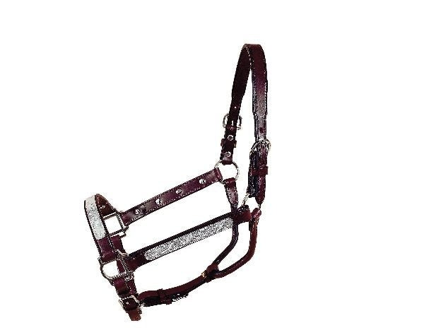 Tory Leather Oklahoma Straight Cheek Economy Show Halter