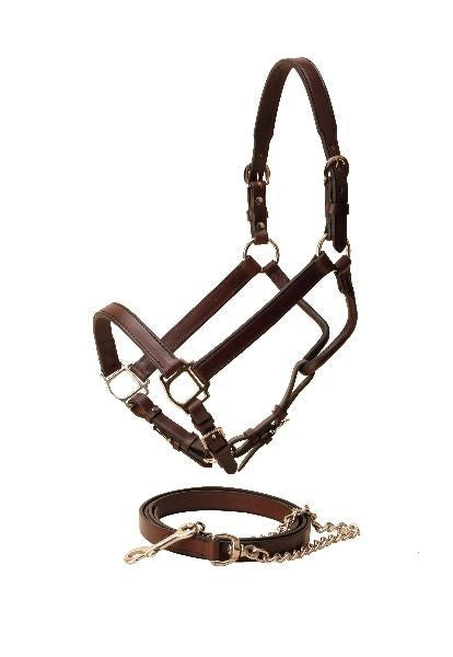 Tory Tapering Crown Show Halter/Chain Horse Blk