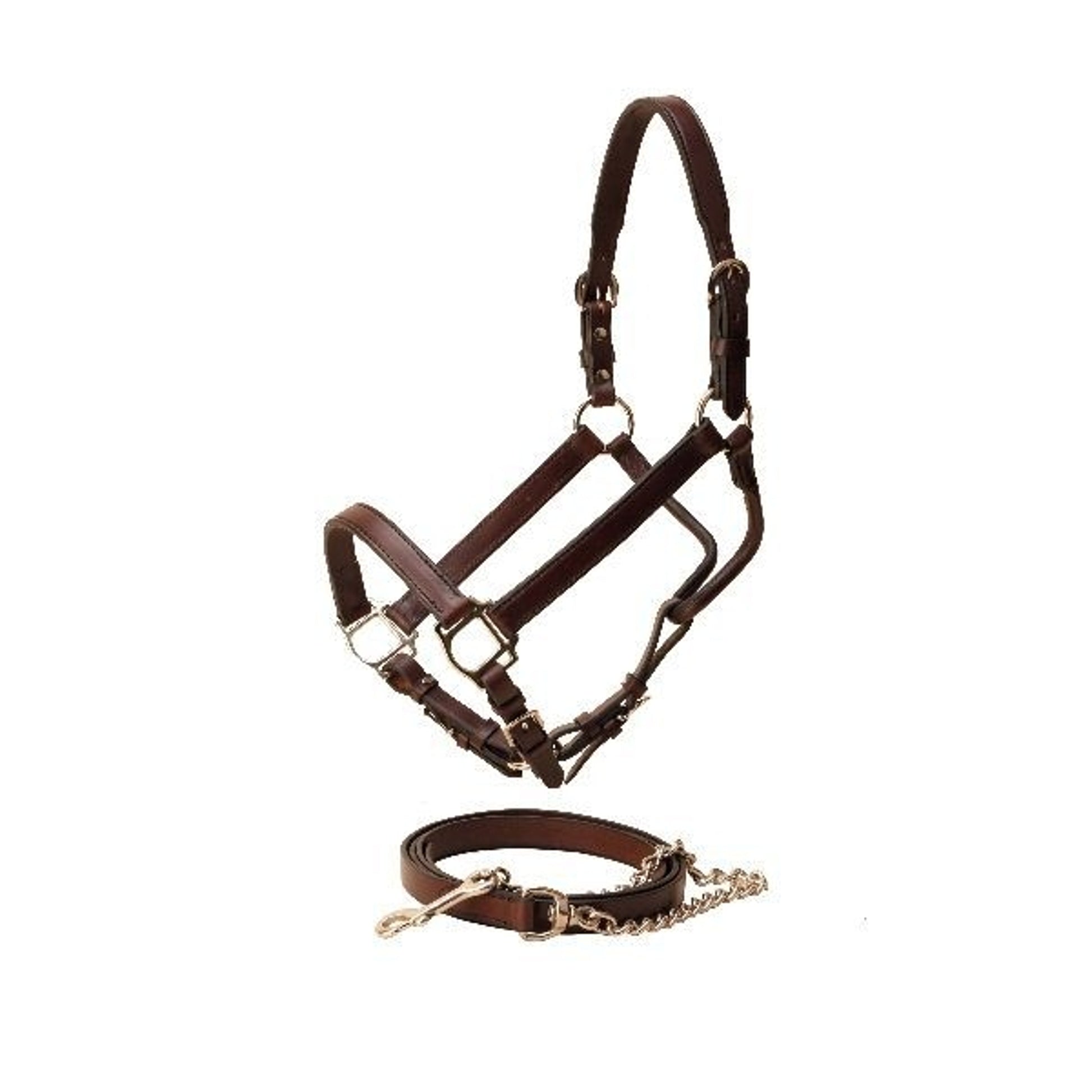Tory Tapering Crown Show Halter/Chain Horse Blk