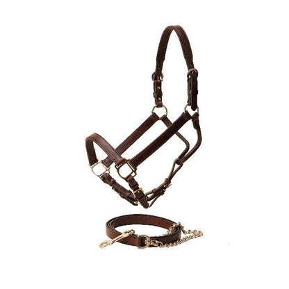 Tory Tapering Crown Show Halter/Chain Horse Blk