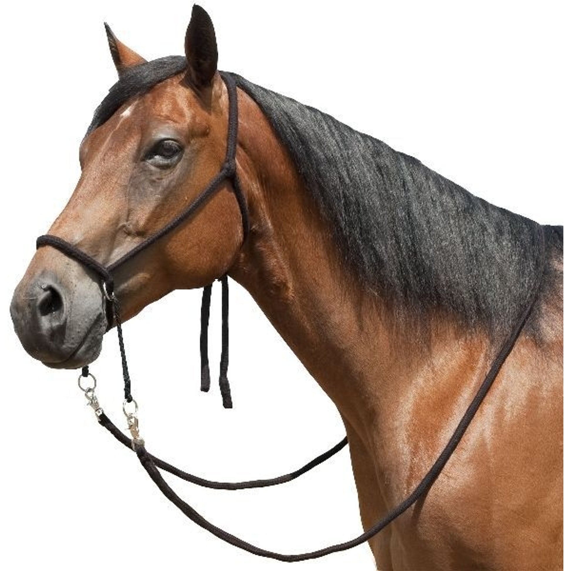 Bitless Bridle With Flat Braided Reins Horse Black