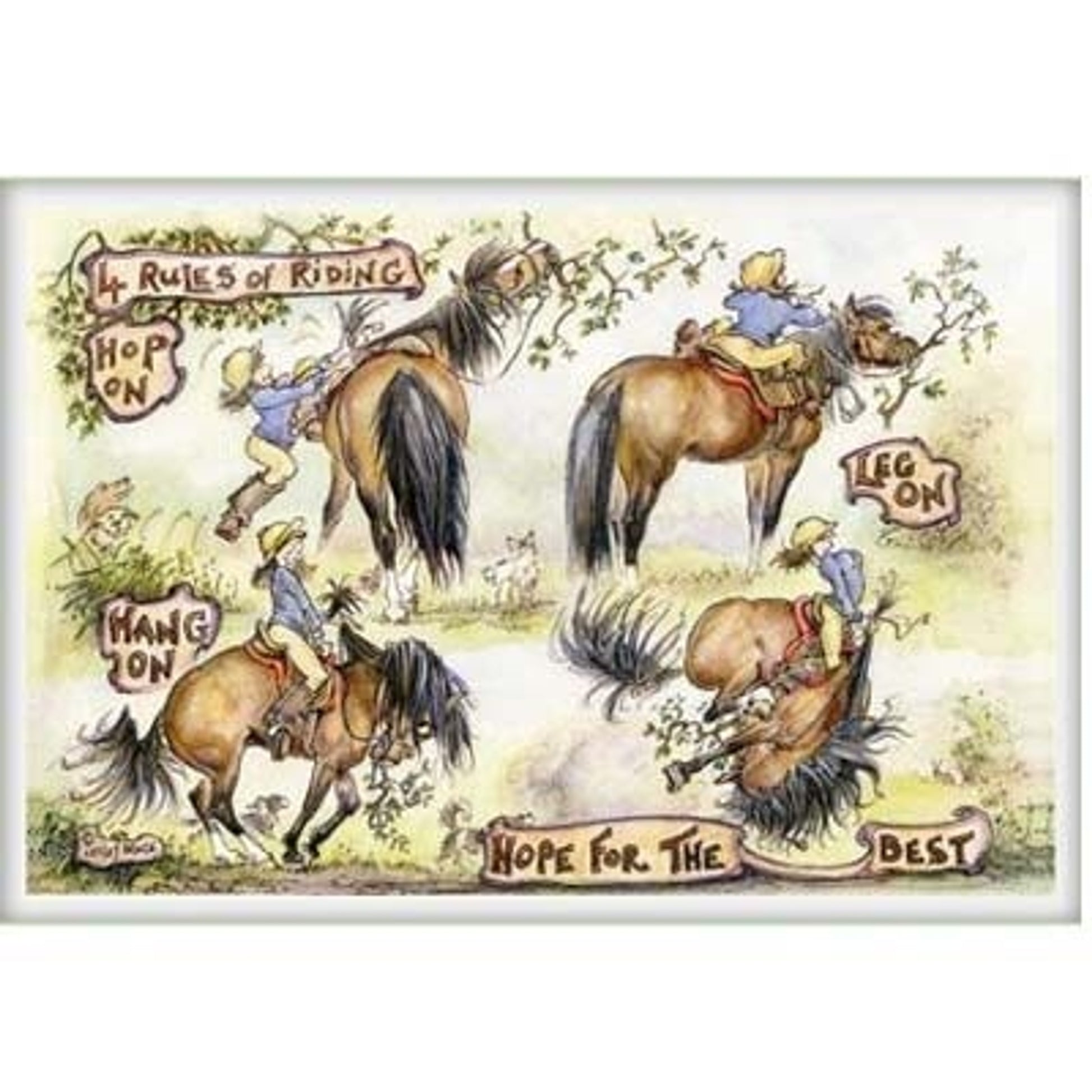4 Rules of Riding -Pk of 6 6Pack