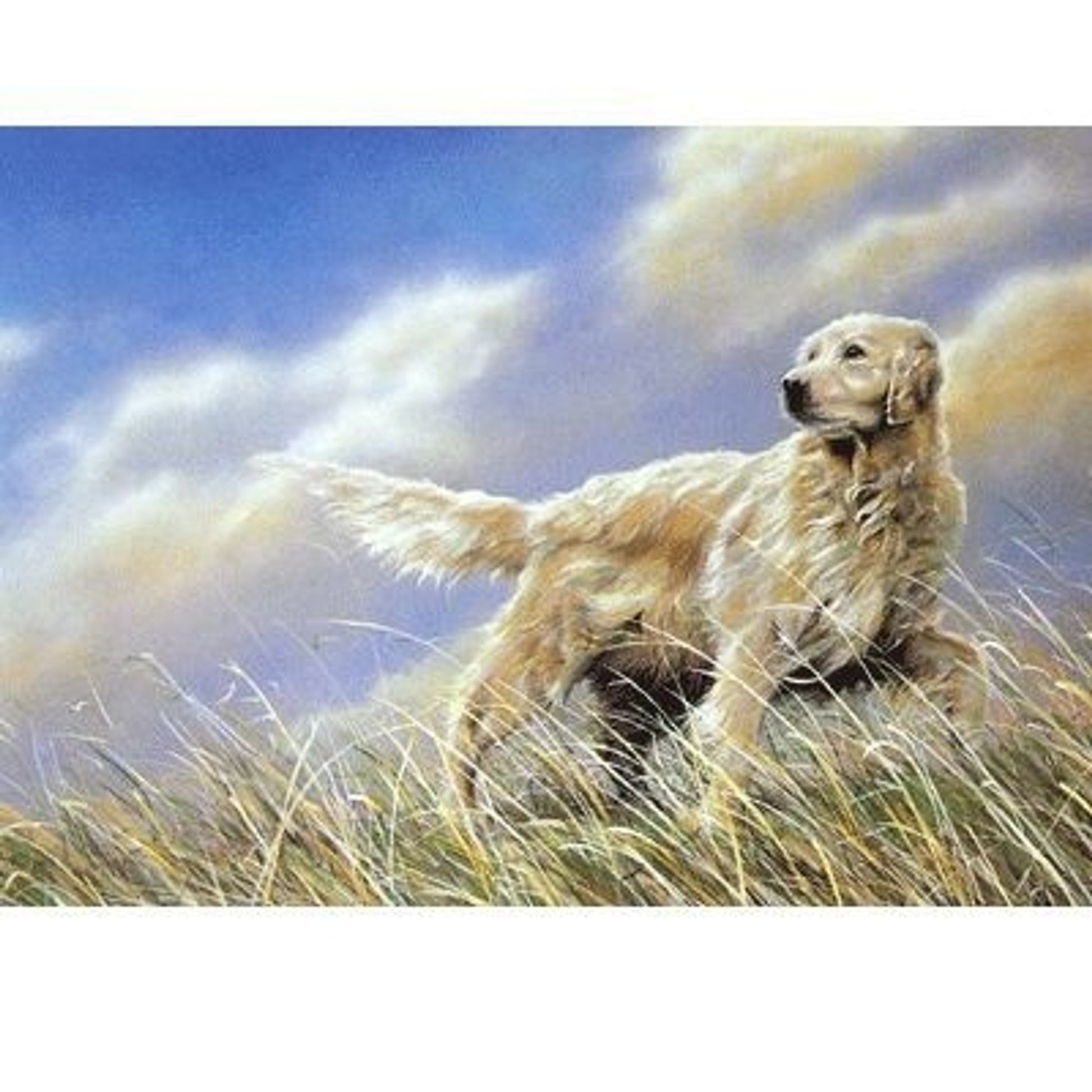 A Breezy Day Golden Retriever Cards -6Pk