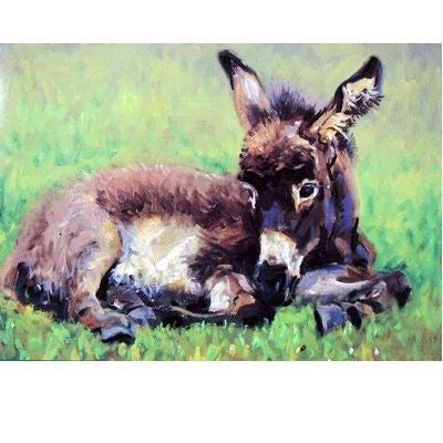 A Quiet Nap Donkey Cards - 6Pk 5x7