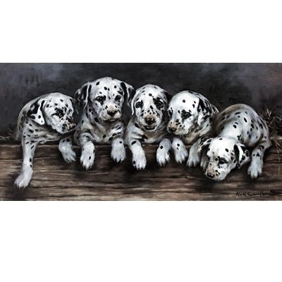 A Spot of Trouble By Mick Cawston 13.25x6.5