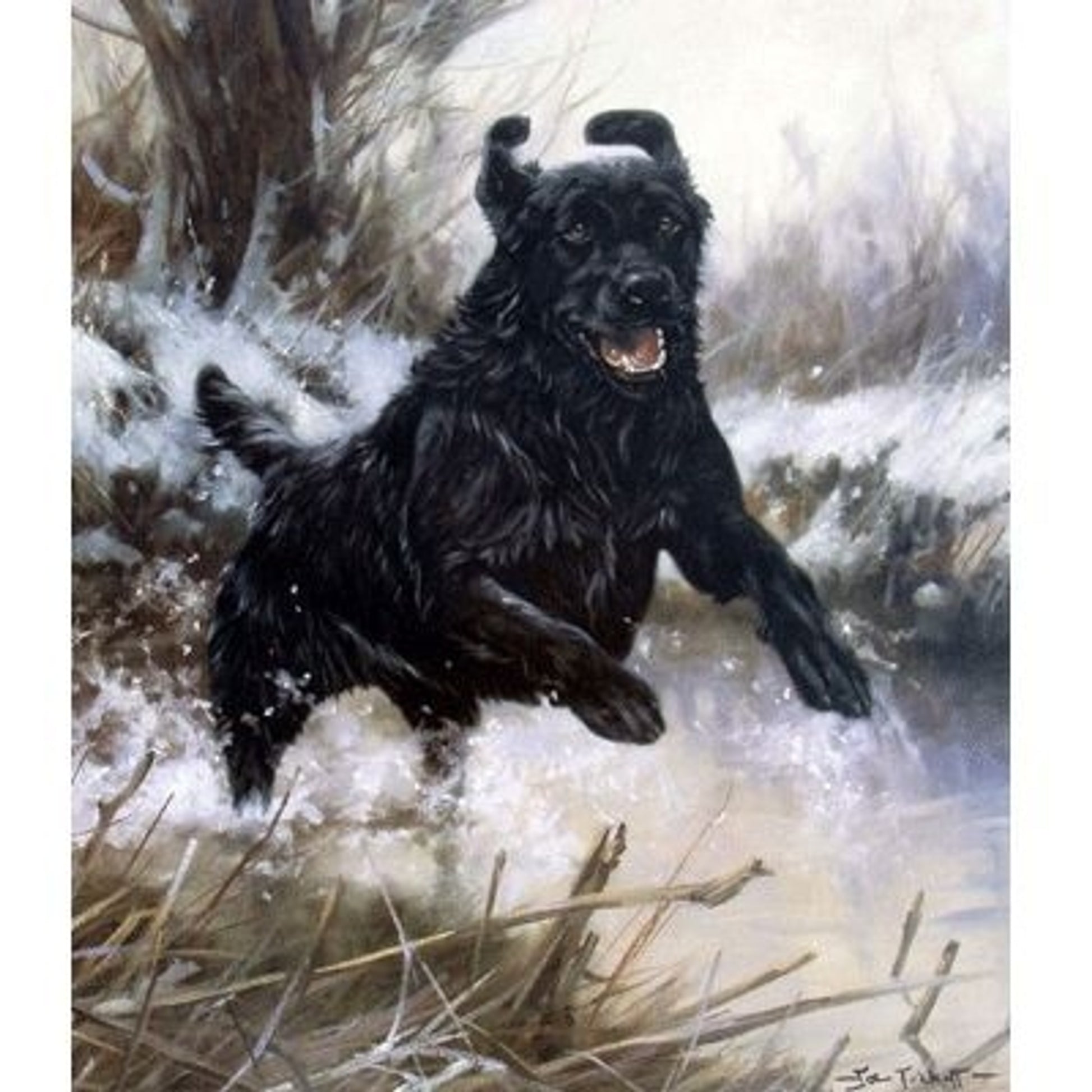 Action Man By John Trickett 16.5x20