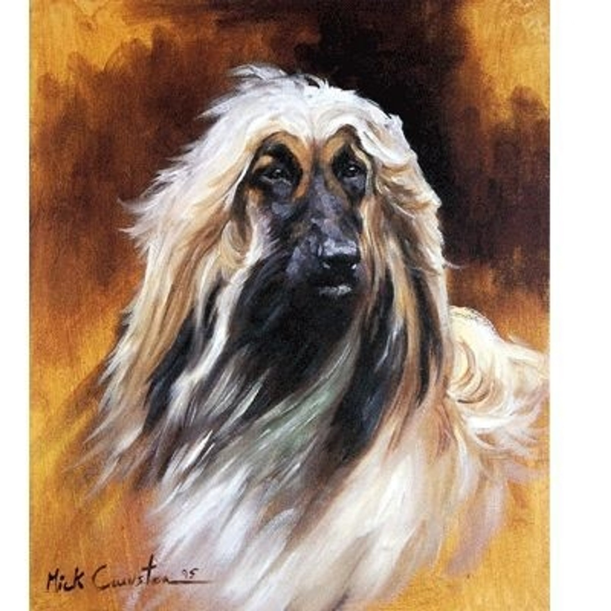 Afghan By Mick Cawston 6.25x7.5