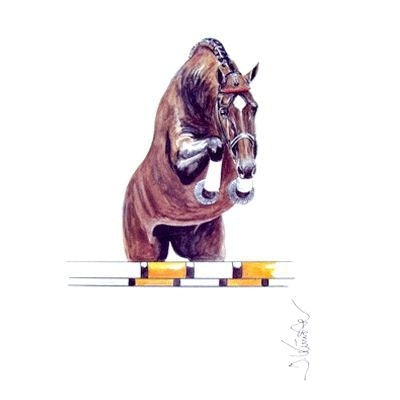 Amaretto Show Jumper