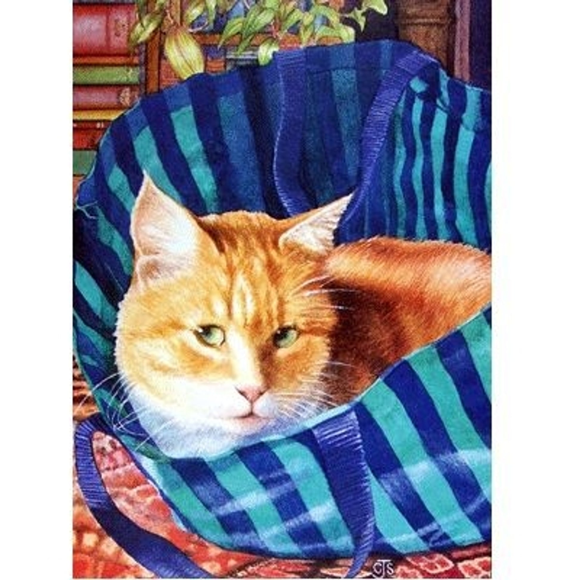Bagged Cards - 6Pk 5x7