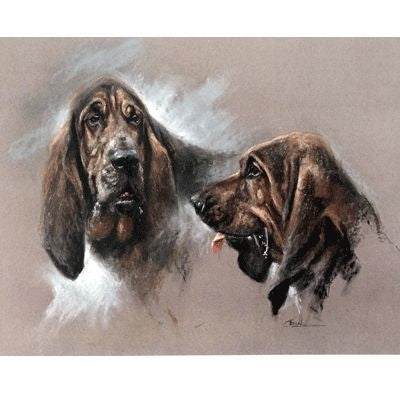Bloodhounds By Mick Cawston 12x9.25