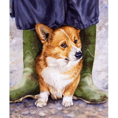 Boot Camp By Pippa Thew 10.5x12