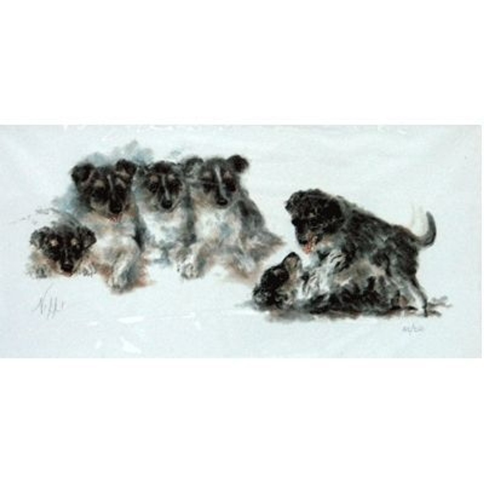 Border Collie Puppies By Nikki 16x10