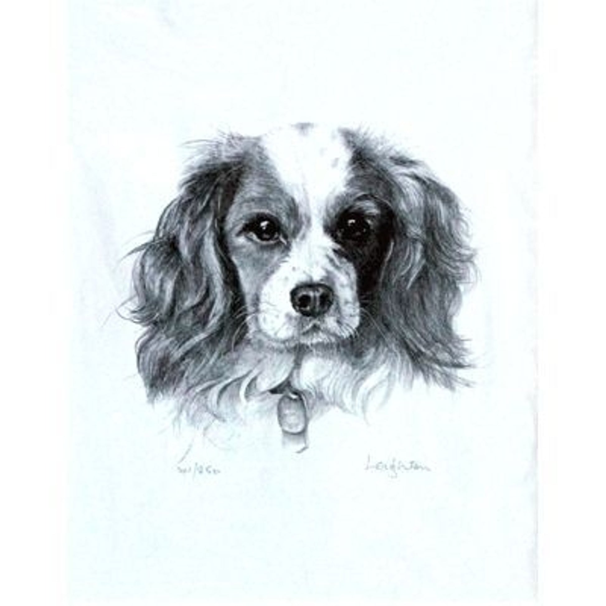 Cavalier King Charles Spaniel Leighton 10.75x12.75