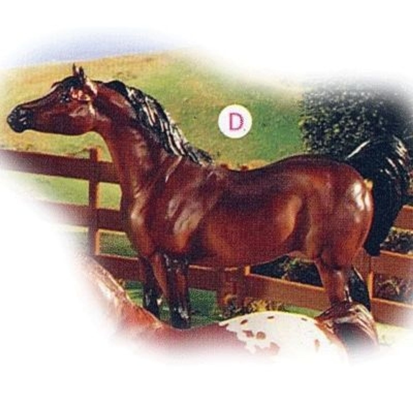 TH880264.jpg