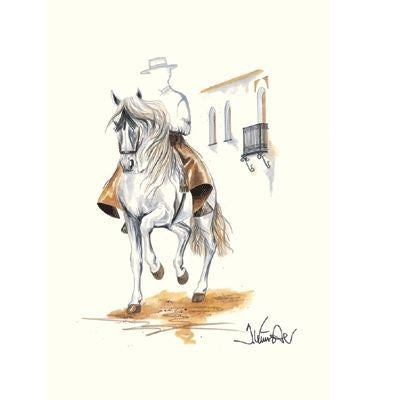 Cordoba Andalusian-Jan Kunster Matted 15.75x19.75