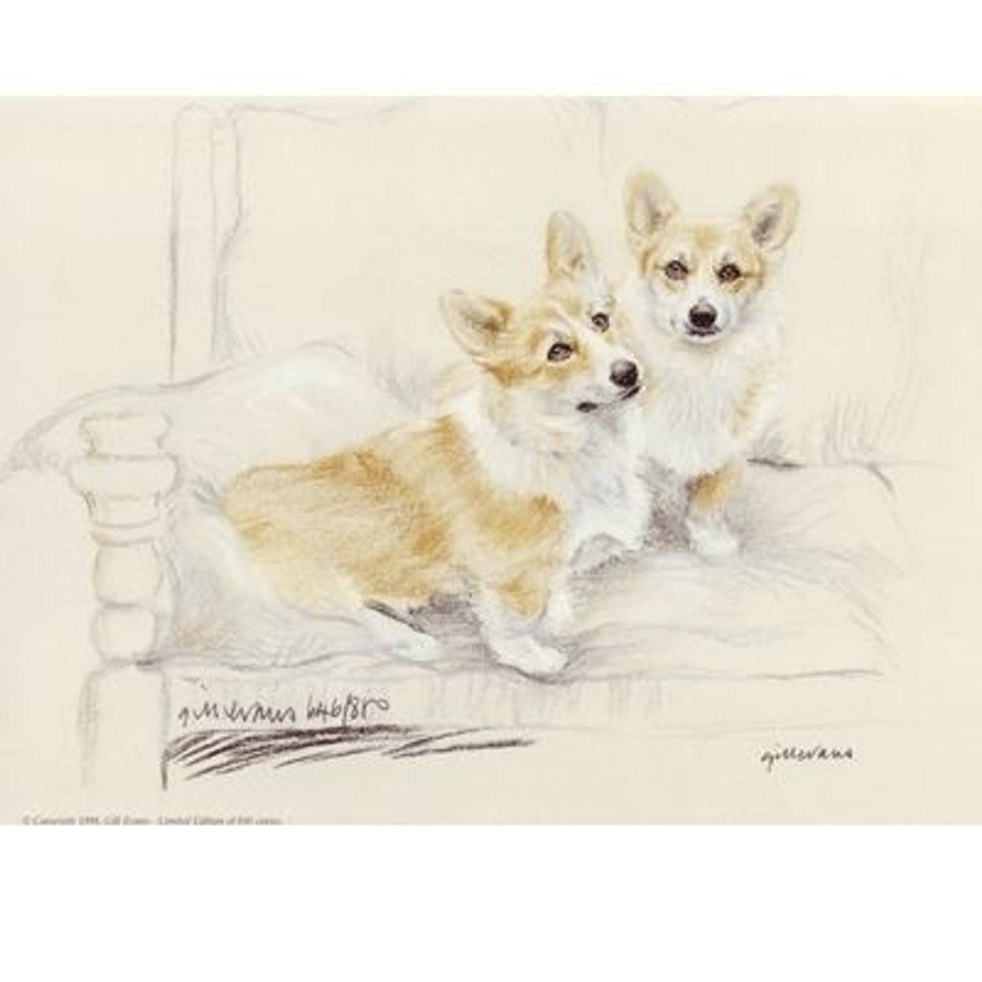 Corgis By Gill Evans Matted 12.75 x 10.75