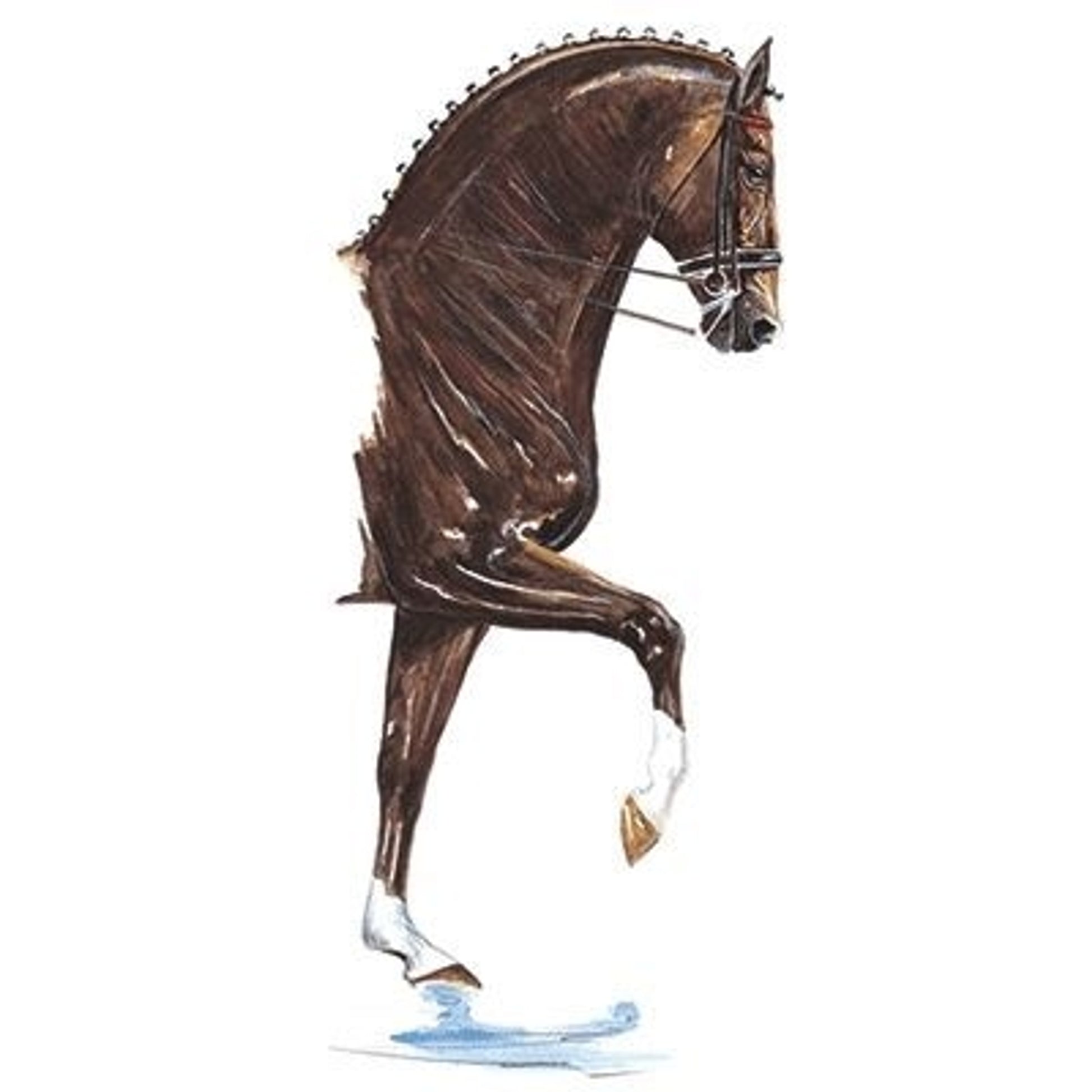 Donnerhall Dressage Matted 15.75 x 19.75