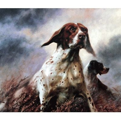 English Pointer By Mick Cawston 11.75 x 10