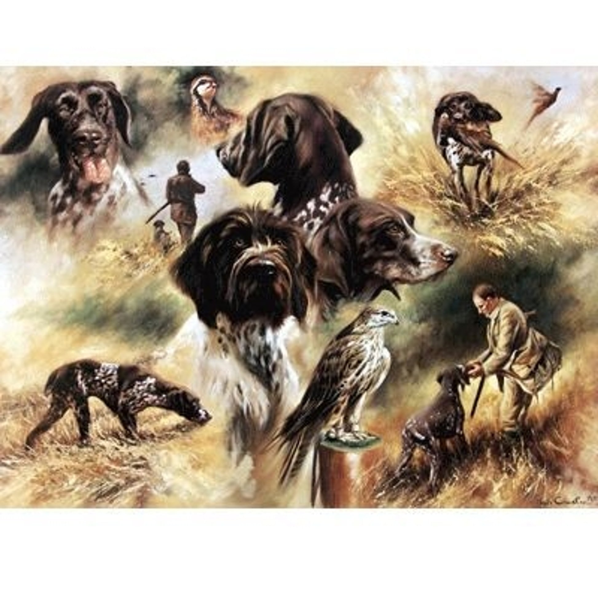 German Pointer By Mick Cawston 18 x 13.5