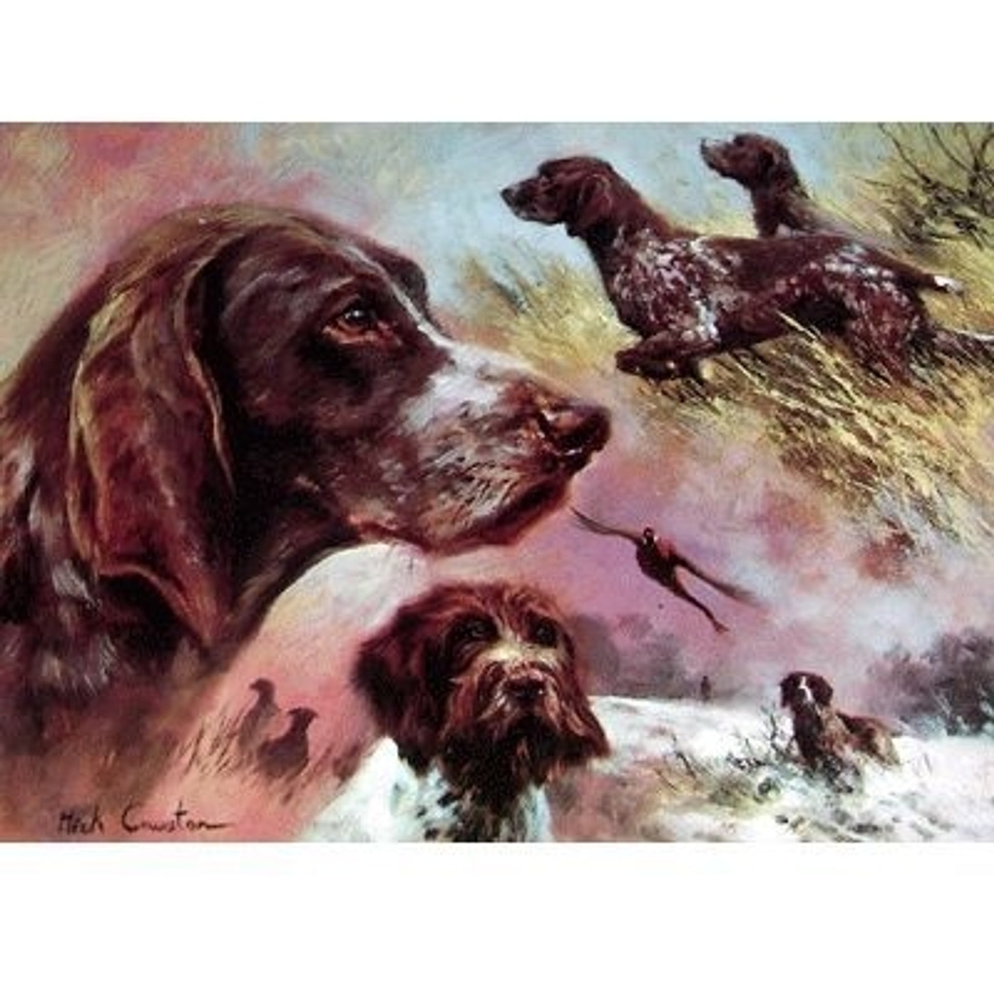 German Point Shorthair/Wirehair BlankCard-6 Pk 5x7