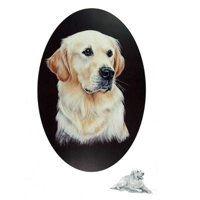 Golden Retriever by Josephine Copley 9 x 12.5