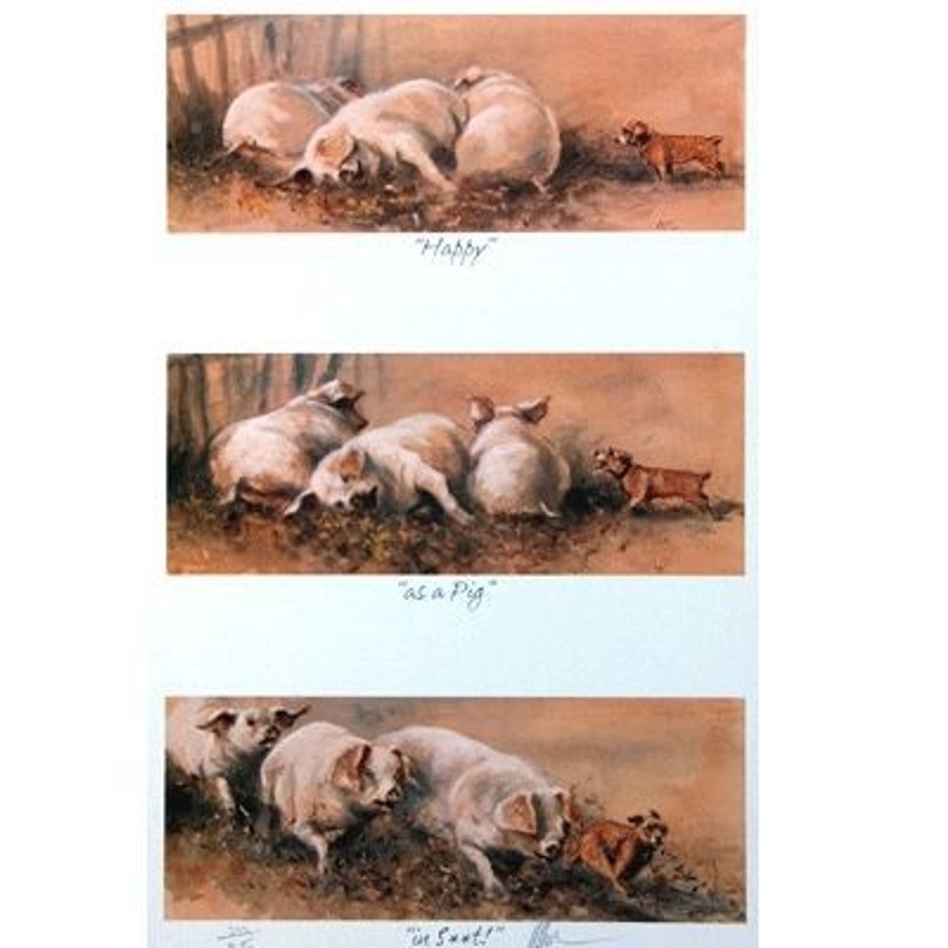 Happy as a Pig in St By Mick Cawston 9.5 x 15