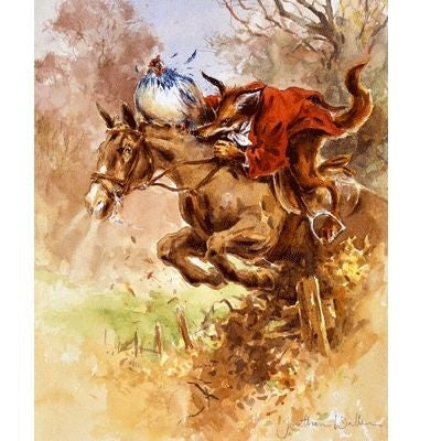 Harriets Precarious Roost 7.5x10