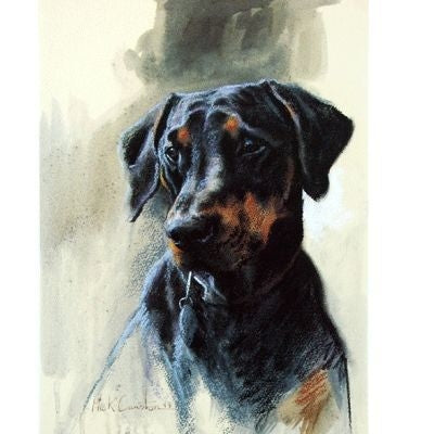 Head of Doberman By Mick Cawston 6.5 x 9