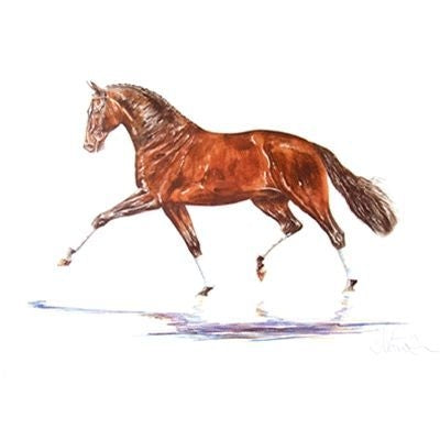 Hengst Dressage By Jan Kunster 19.75 x 27.5