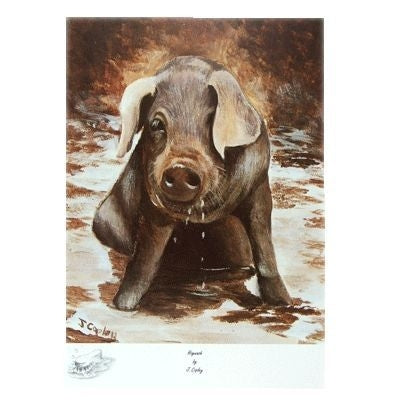 Hogwash by Josephine Copley 9 x 12.5