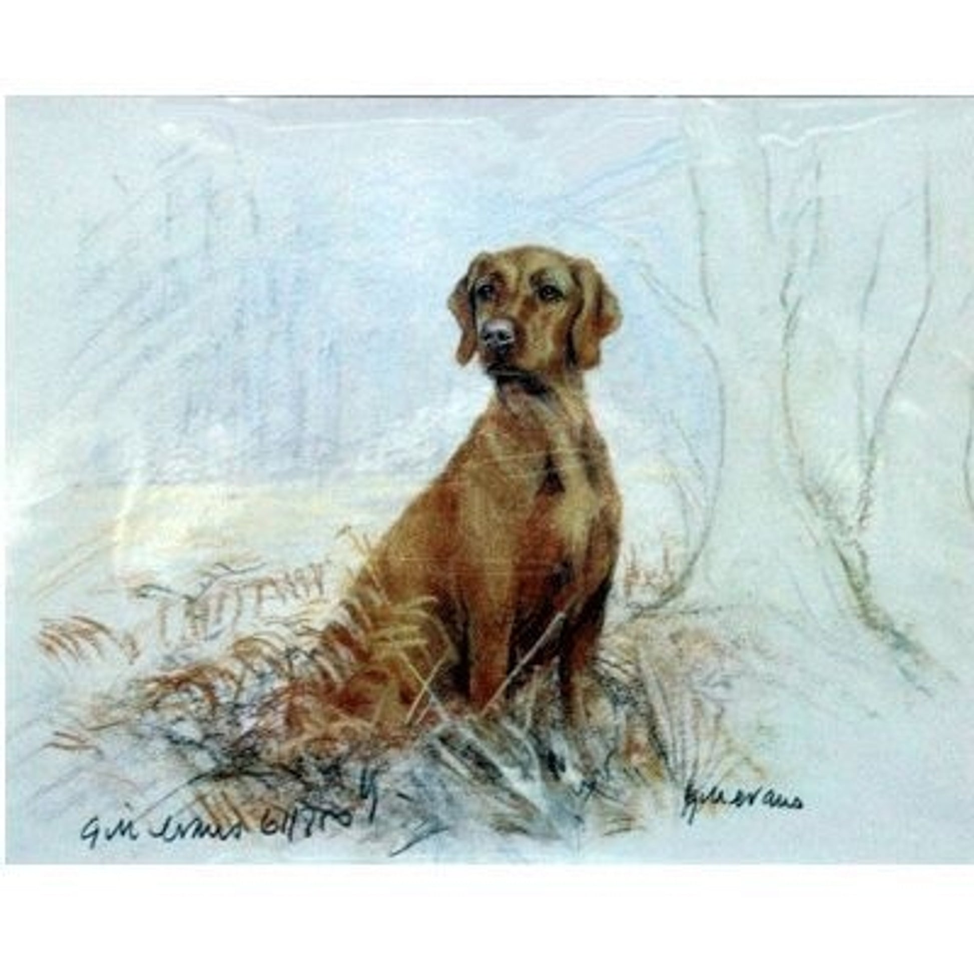 Hungarian Vizsla By Gill Evans 12.75x10.75