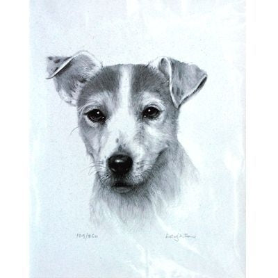 Jack Russell Terrier By Sra Leighton 10.75x12.75