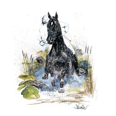 Joker Cross Country By Jan Kunster 7.75x11.75