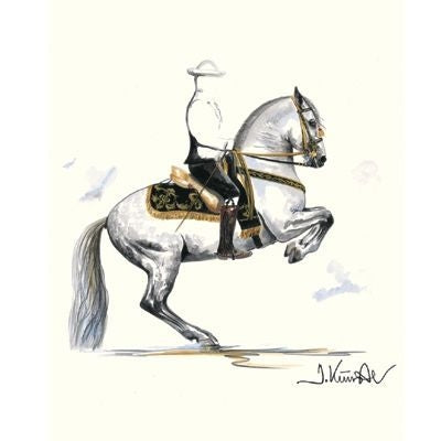 Lavade Lipizzan By Jan Kunster 15.75x19.75