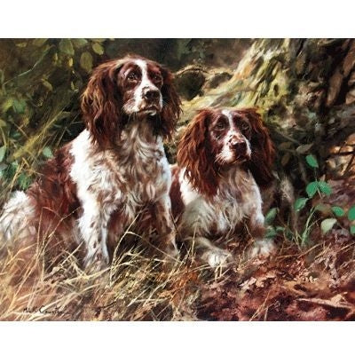 Pair of Spaniels By Mick Cawston 14 x 11