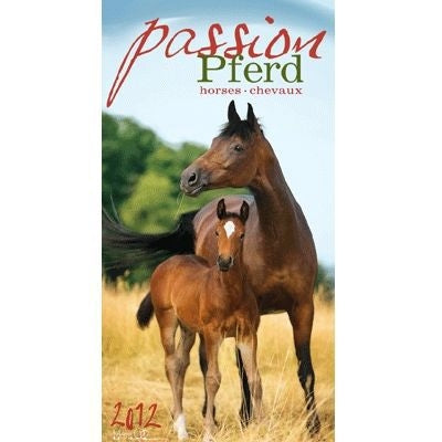 Passion Friesian By Jan Kunster 19.75 x 14.75