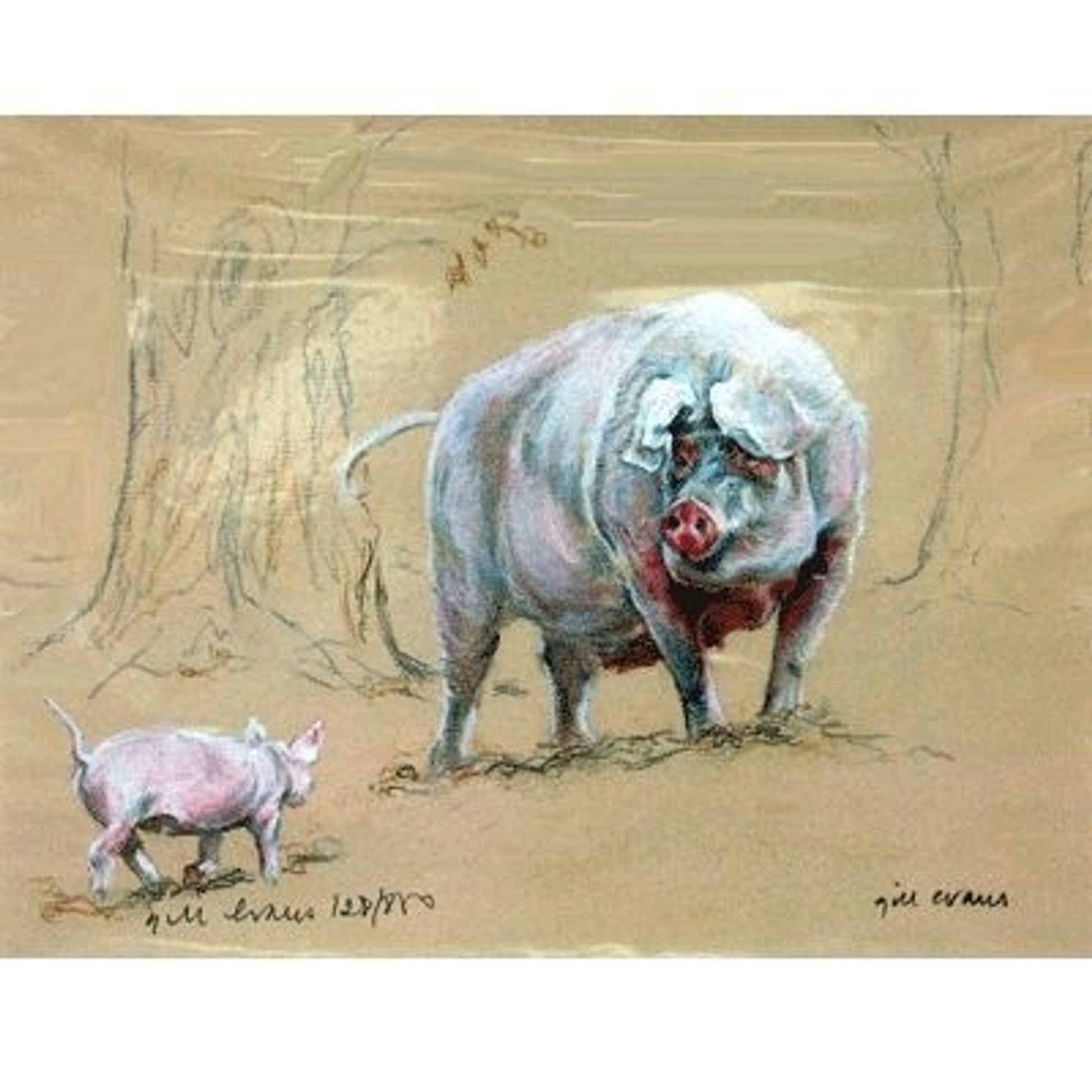 Pig and Piglet By Gill Evans Matted 12 3/4x 10 3/4