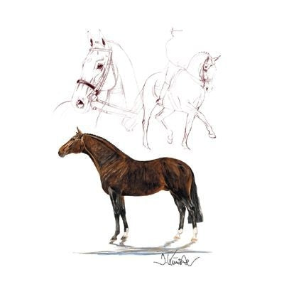 Rosenkavalier Dressage By Jan Kunster 19.75x27.5