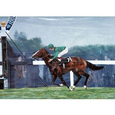 Shergar By Brian Tovey Matted 12.75 x 10.75