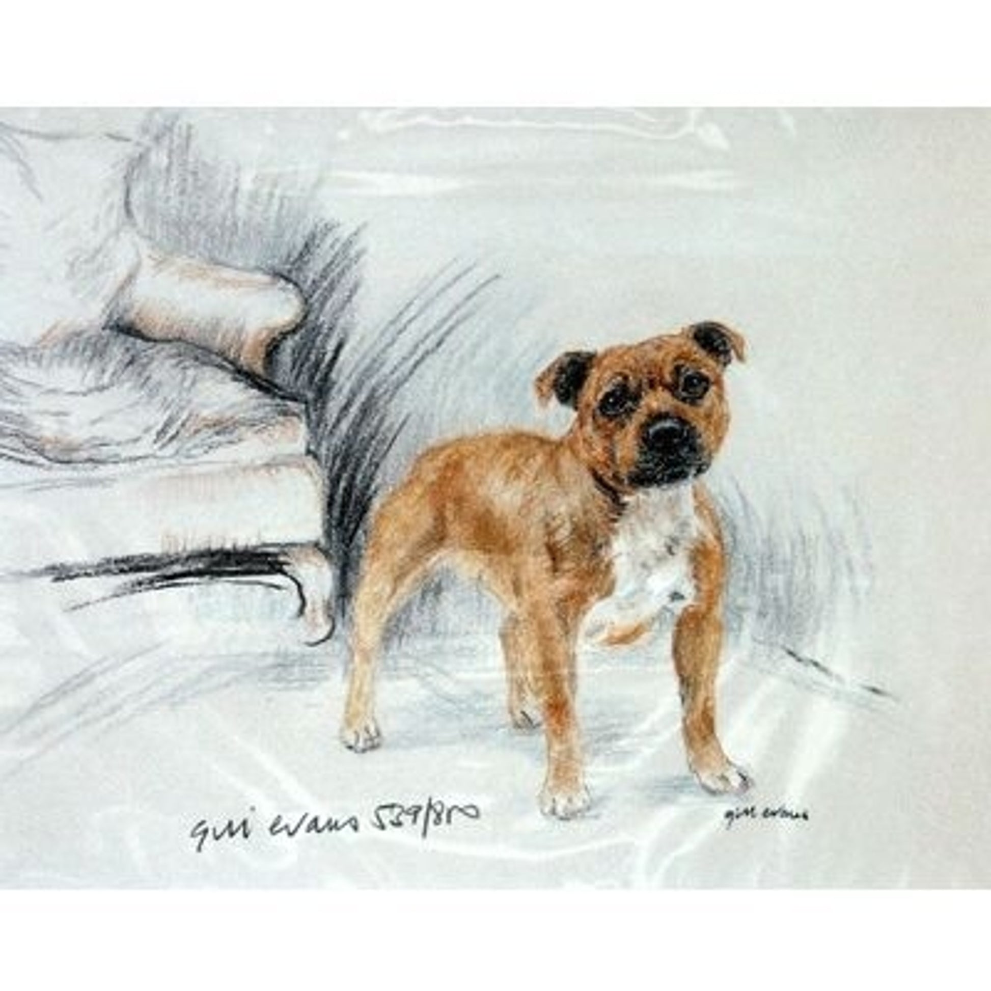 Staffordshire Bull By Gill Evans 12.75x10.75