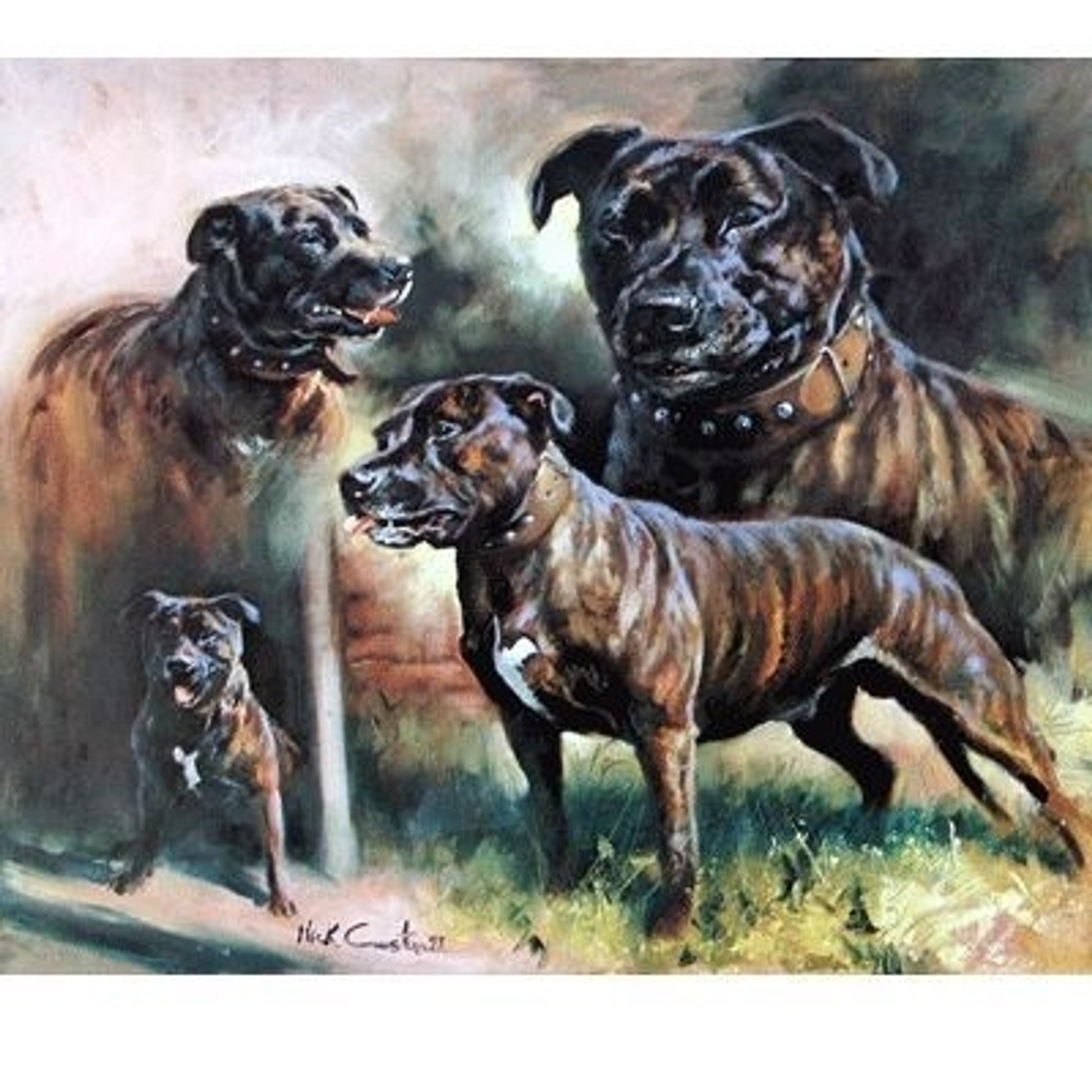 Staffordshire Bull Terrier By Mick Cawston 13 x 11